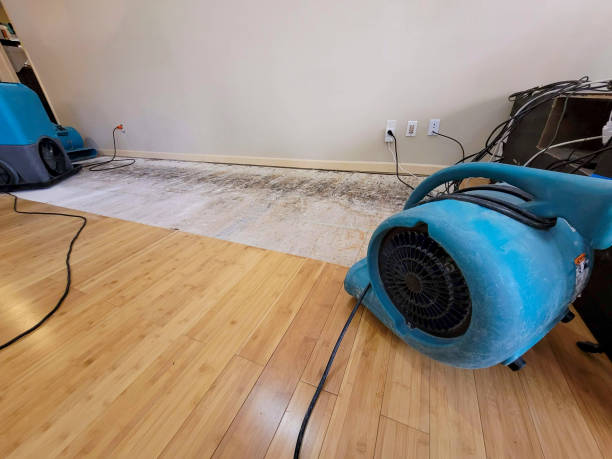 Professional Structural Drying technician working in Stanford, CA